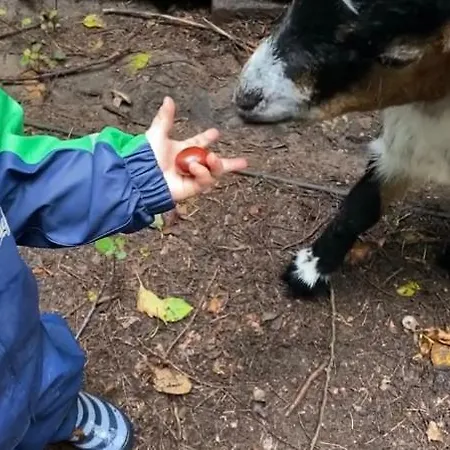 Auf Einem Resthof Zentral Gelegen Mit Viel Und Tieren Appartement *