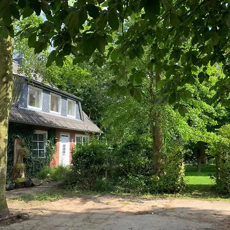 Auf Einem Resthof Zentral Gelegen Mit Viel Und Tieren *