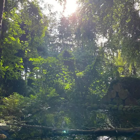 Auf Einem Resthof Zentral Gelegen Mit Viel Und Tieren Appartement *